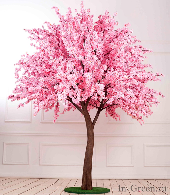 Сакура цветущая розовая | 310 см