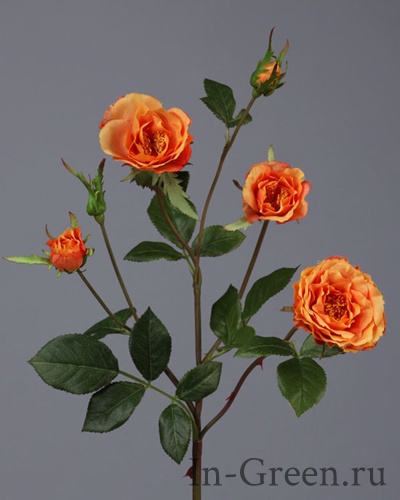 Роза  Вайлд ветвь оранжевая | 41 см
