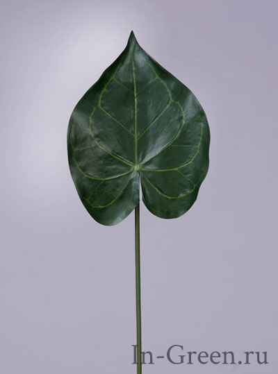 Кристалины лист  | 60 см