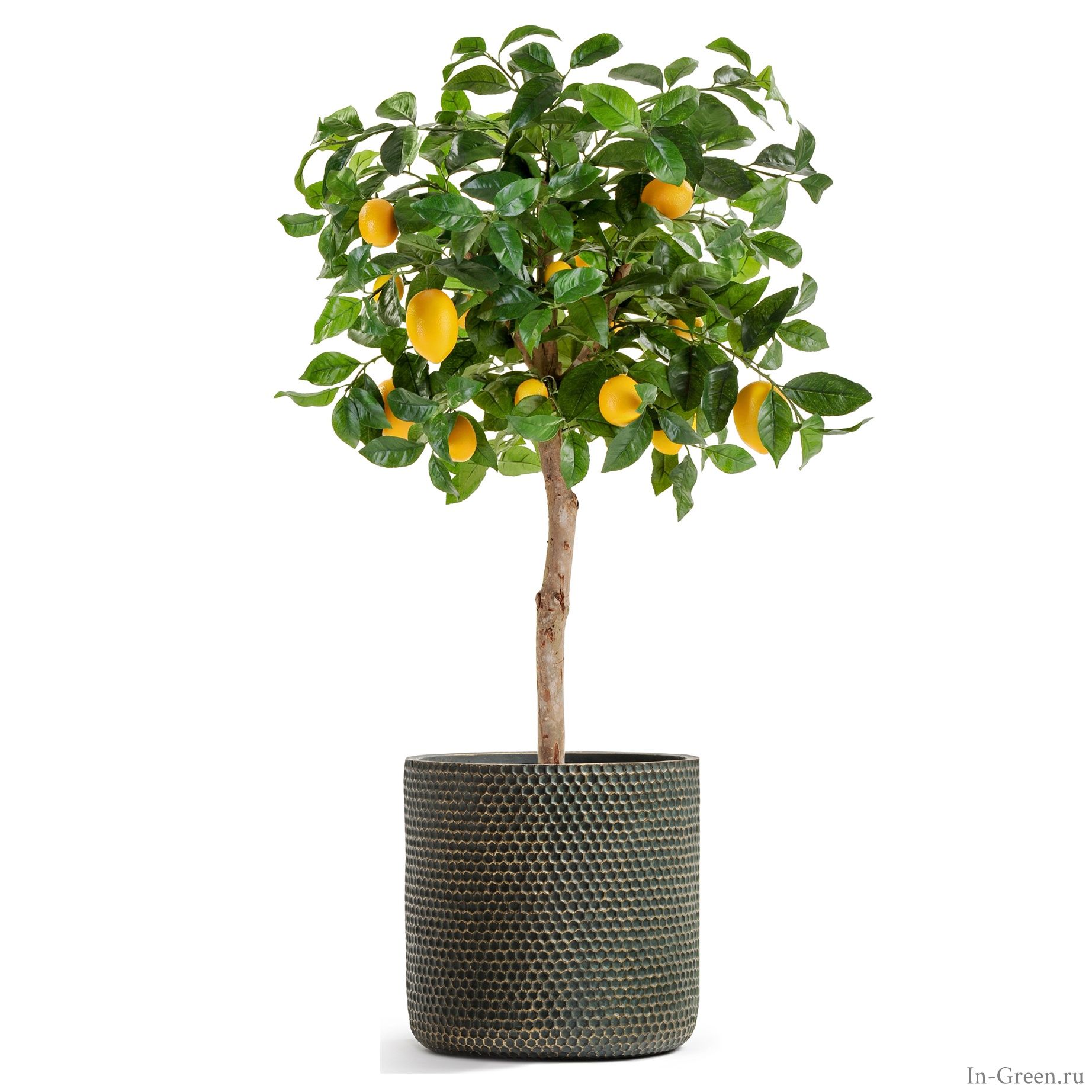 Лимонное дерево искусственное с плодами на штамбе в кашпо окись с золотой патиной | 110 см