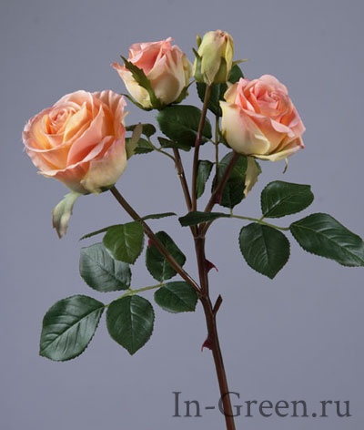 Роза Флорибунда ветвь розово-персиковая | 60 см