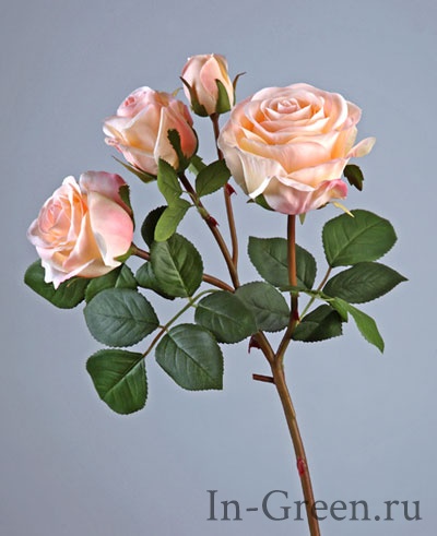 Роза Флорибунда ветвь светло-розовая | 60 см