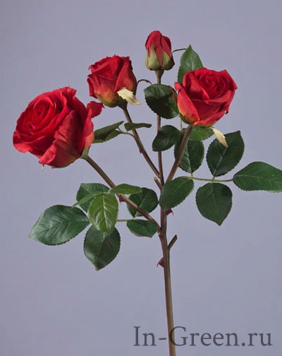Роза Флорибунда ветвь красная | 60 см