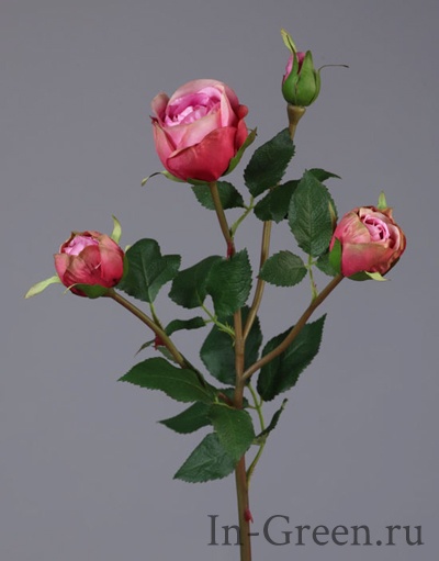 Роза Рояль ветвь малиново-розовая | 47 см
