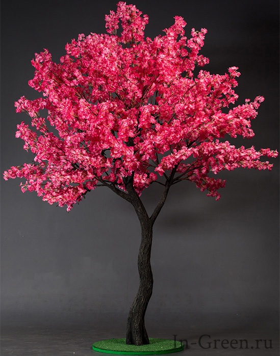 Вишня Японская розовая | 310 см