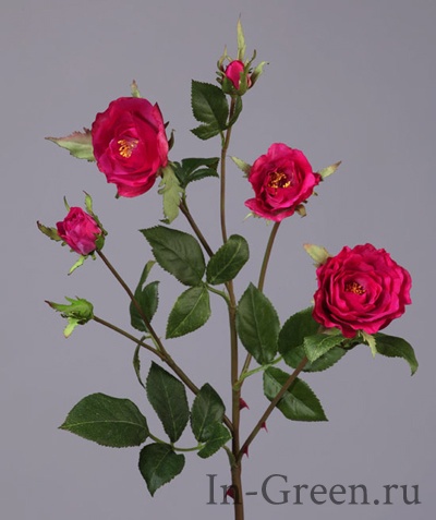 Роза Вайлд ветвь малиновая | 41 см