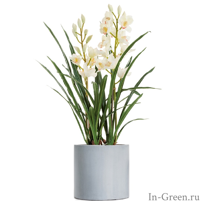 Орхидея Цимбидиум белая 2 ветки в кашпо серый ледник | 100 см